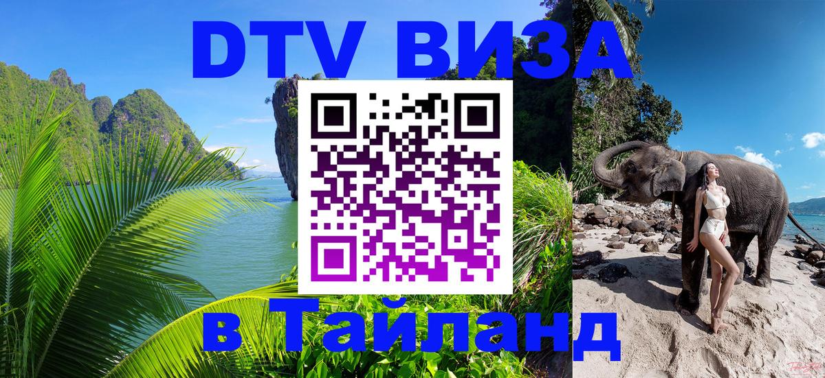 Сколько стоит DTV виза — актуальные цены, оформление даже без документов - Химки 